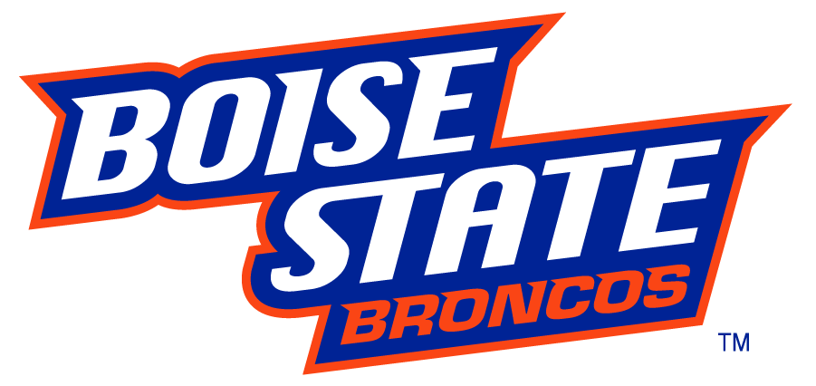 Boise State Broncos 2002-2012 Wordmark Logo v7 diy DTF decal sticker